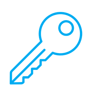 Key icon